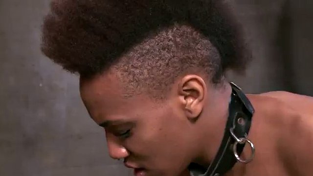 freaky black slave gets trained