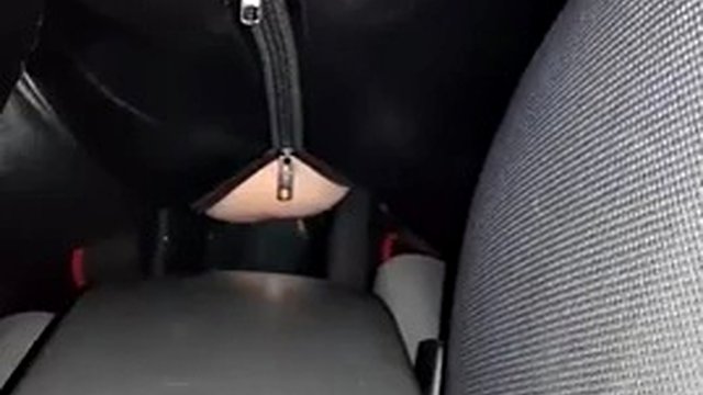 Misssapiosexual rides the gearshift (full body)