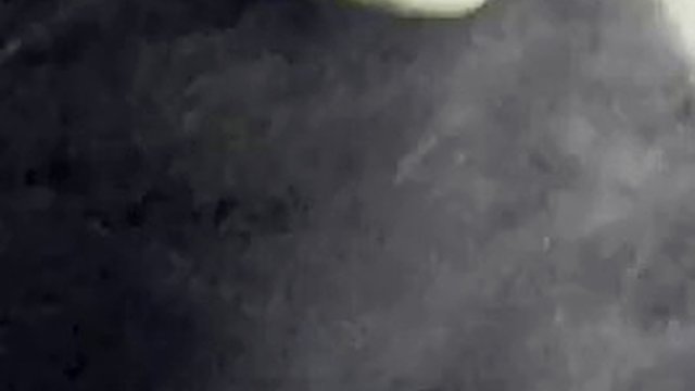 POV, slut sucks cock