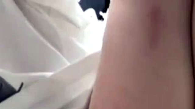 saia levantada