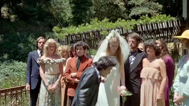 Wedding Party: Vintage, Orgy & Groupsex Porn