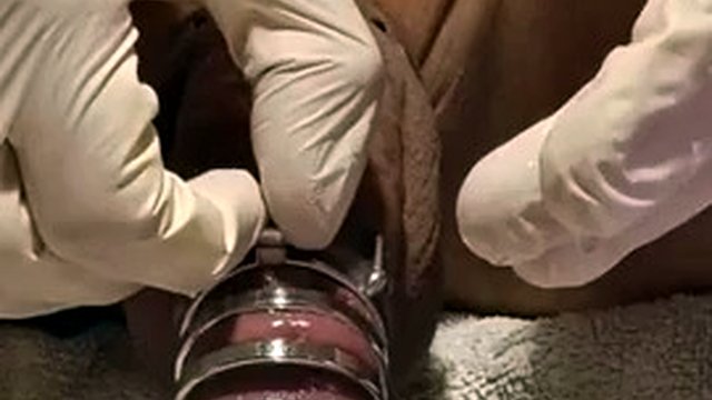 cock probe and cock cage