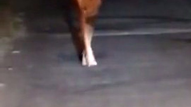 hotwife mexican kl gangbang loves share