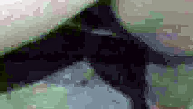 Devastated transe assholes with hot cum dripping