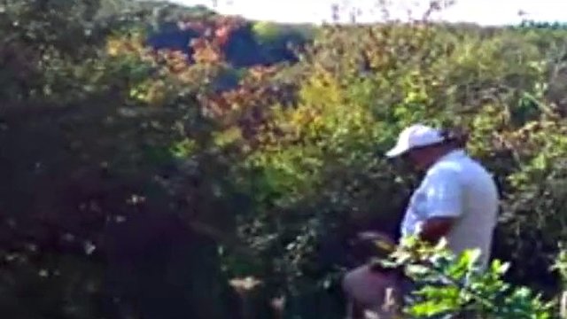 Stepfathers having fun in the bushes near the beach